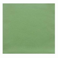 Lavette microfibre EVOLON – paquet de 5