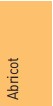 Abricot
