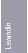 Lavandin